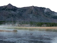 Yellowstone (82).JPG